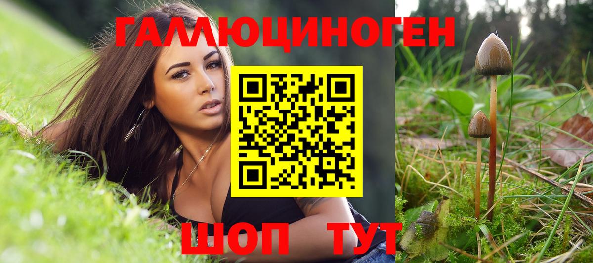 Псилоцибиновые грибы Psilocybe Кунгур